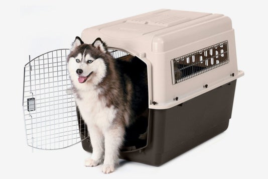 Dog in a Petmate Ultra Vari Kennel.